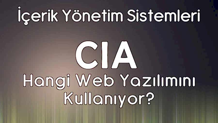 İçerik Yönetim Sistemleri