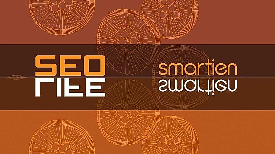 SEO Hayatın Anlamını Arıyor