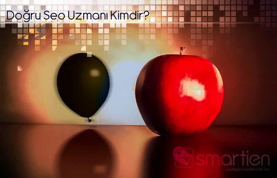 SEO Uzmanı