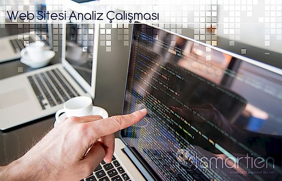 Web Sitesi ve PR Çalışması Analizleri, Denetim ve Raporlama
