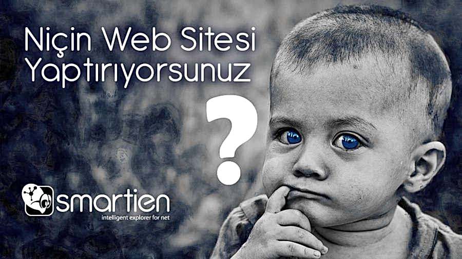 Web Sitesi Yaptırmak